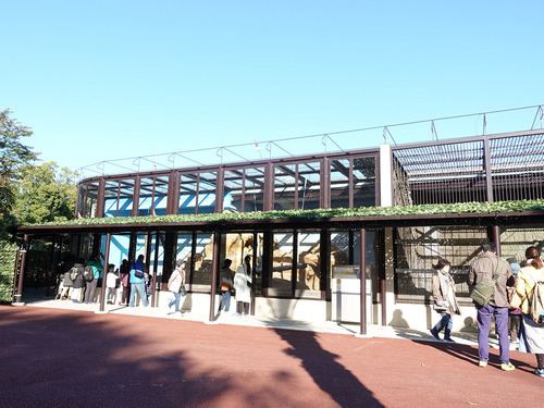 20181216 kumamotozoo 17.jpg