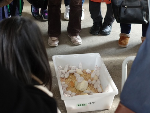 20190210 suppterday3.jpg