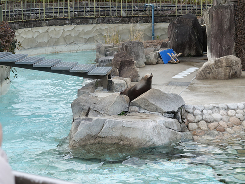 20190210 suppterday6.jpg