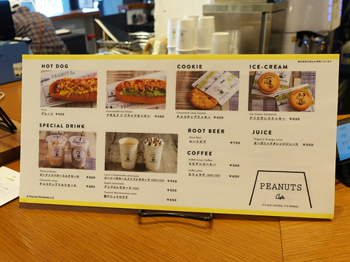 20190212 hotel peanuts7.jpg