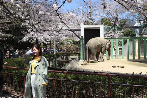 20190405 zoo4.jpg
