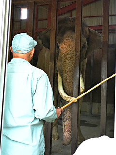 20170825 zoo1.jpg