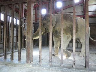 20170825 zoo14.jpg