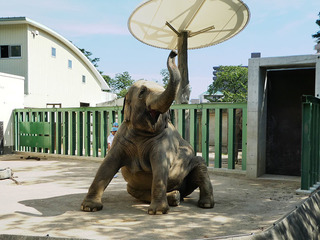 20170825 zoo15.jpg