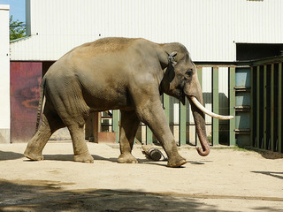 20170825 zoo2.jpg
