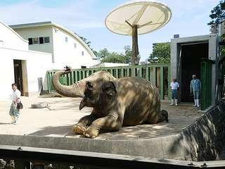 20170825 zoo3.jpg
