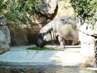 20170825 zoo5.jpg