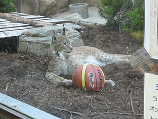 20170825 zoo8.jpg