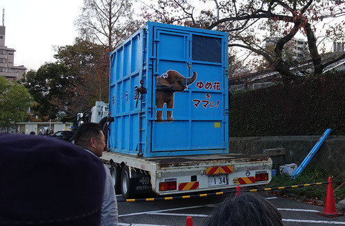 20171109 yumekachan7.jpg