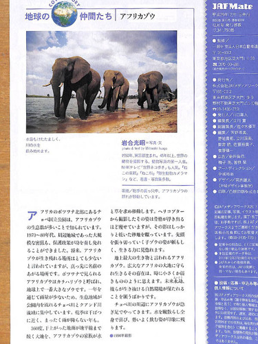 20171231 elefant.jpg