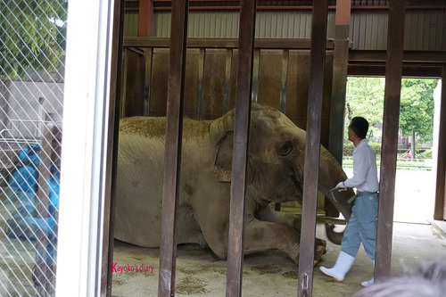 20180424 zoo1.jpg