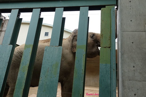 20180424 zoo13.jpg