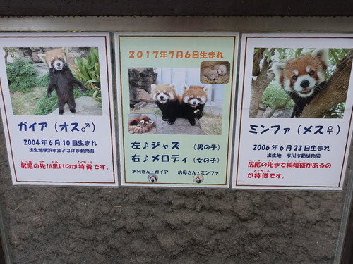 20180424 zoo15.jpg