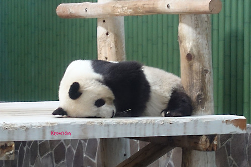 20180424 zoo2.jpg