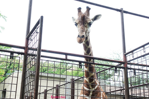 20180424 zoo6.jpg