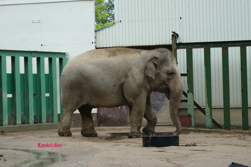 20180424 zoo8.jpg
