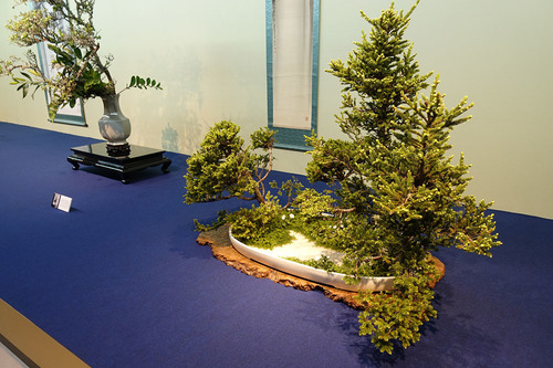 20180519 ohara11.jpg