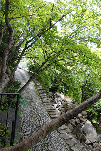 20180519 ohara6.jpg