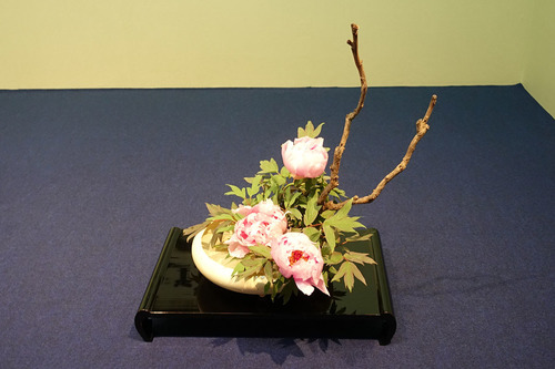 20180519 ohara9.jpg