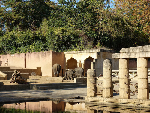 20190114 h zoo 4.jpg