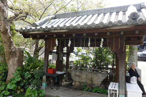 20190418 ichinomiya1.jpg