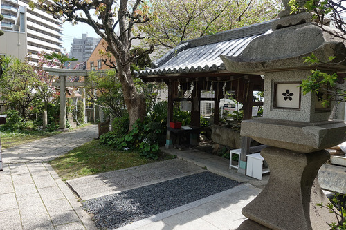 20190418 ichinomiya2.jpg