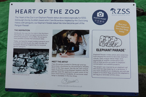 20190624 zoo21.jpg