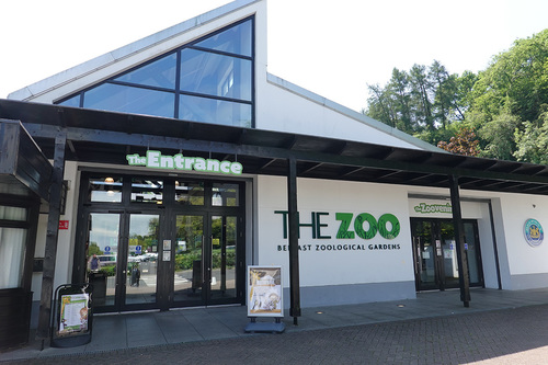 20190626 zoo 1-01.jpg