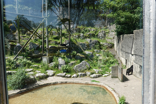 20190626 zoo 1-07.jpg