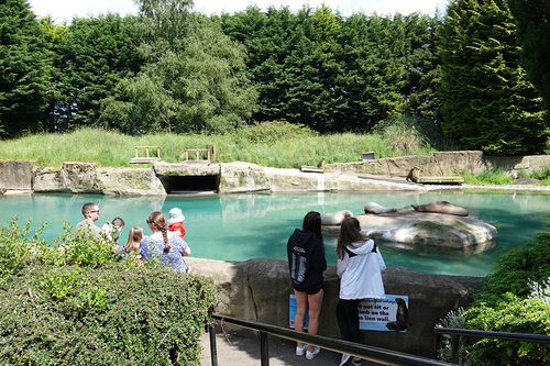 20190626 zoo 1-16.jpg