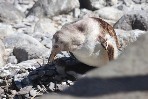 20190626 zoo 1-22.jpg