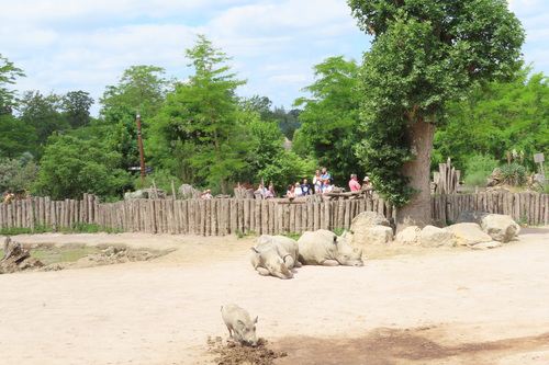 20190701 zoo15.jpg