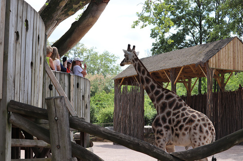 20190701 zoo25.jpg