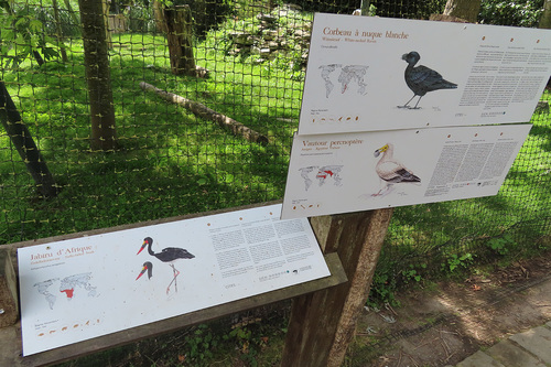 20190701 zoo8.jpg