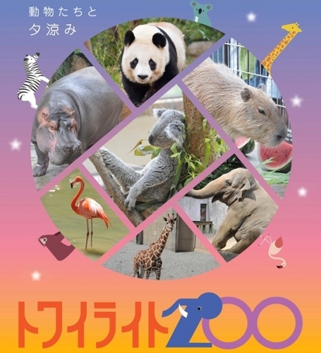 20190811 zoo3.jpeg