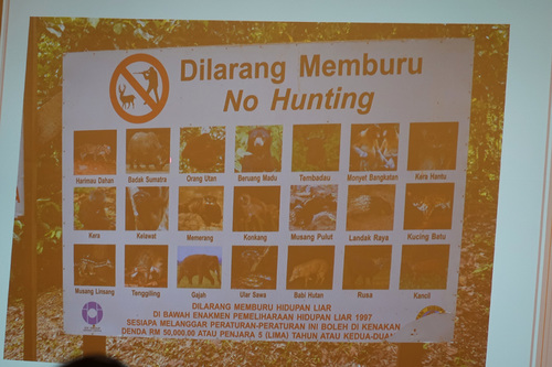 20191202 boru15.jpg