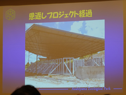 20191202 boru34.jpg