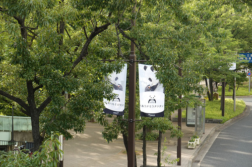 20200702 tantan4.jpg
