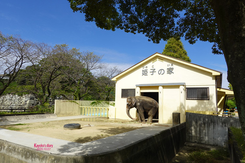 20201007 himeko1.jpg