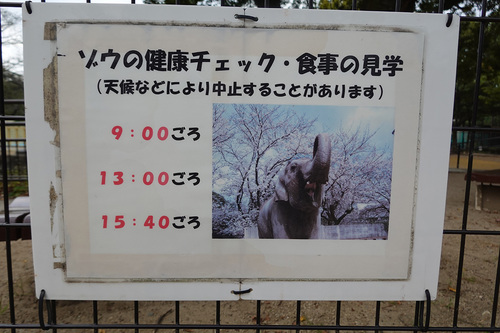 20201007 himeko13.jpg