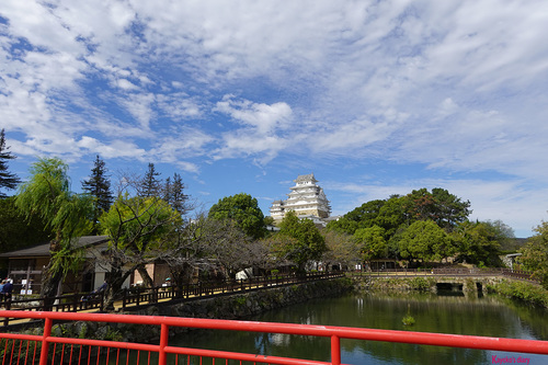 20201007 himeko2.jpg