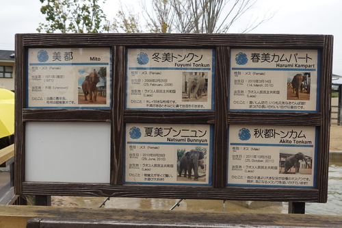 20210328 1-18.jpg
