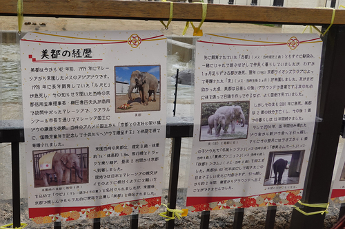 20210328 1-2.jpg