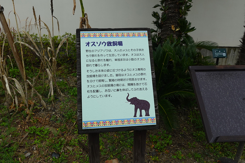 20210328 1-29.jpg