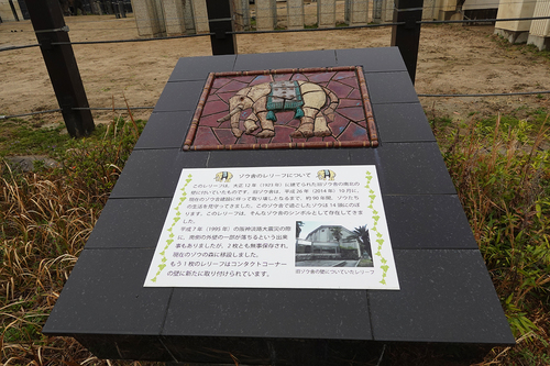 20210328 1-31.jpg