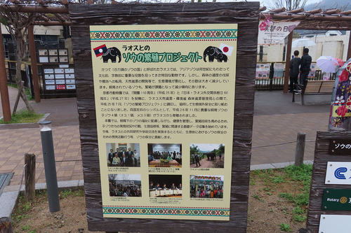 20210328 1-35.jpg