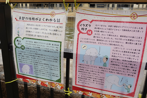 20210328 1-4.jpg
