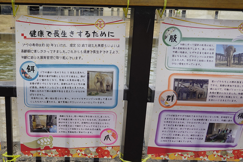 20210328 1-5.jpg