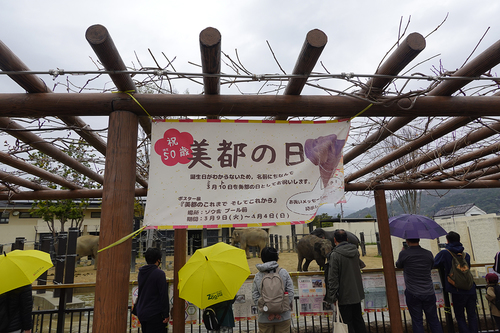 20210328 1-6.jpg