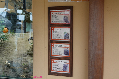 20210328 zoo11.jpg